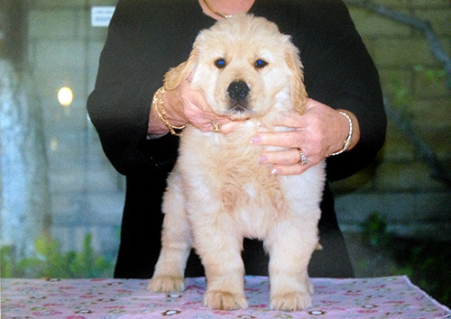 tebow at 2 mos.