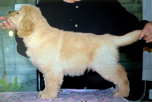 tebow at 2 mos.